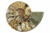 Cut & Polished, Agatized Ammonite Fossil - Madagascar #241006-2